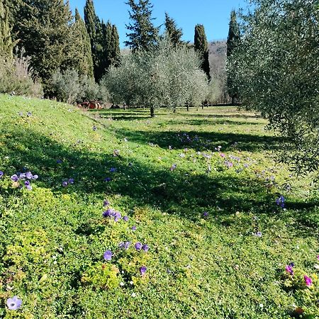 Agriturismo Natura E Salute San Gimignano Kültér fotó