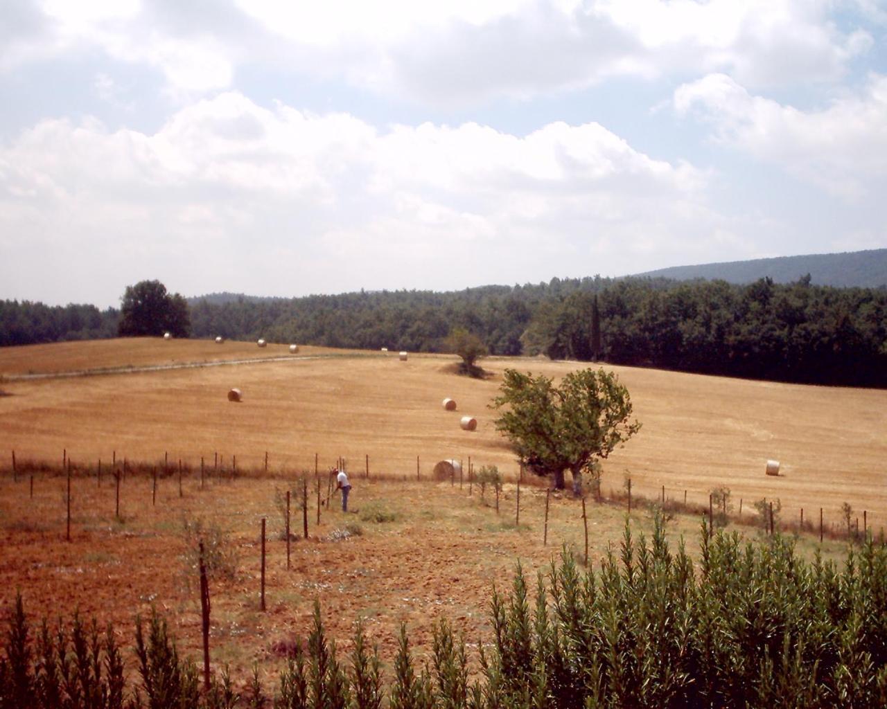 Agriturismo Natura E Salute San Gimignano Kültér fotó