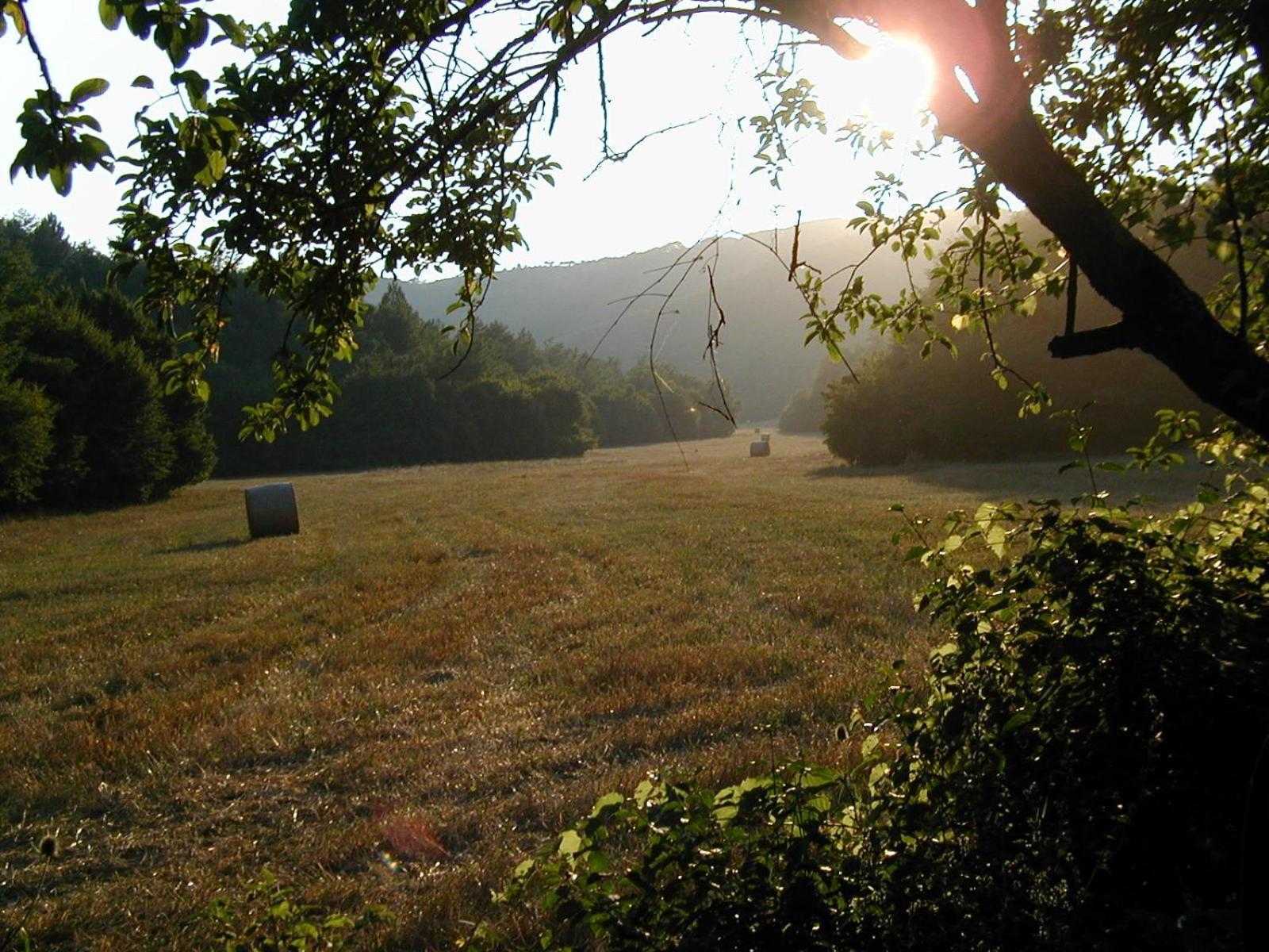 Agriturismo Natura E Salute San Gimignano Kültér fotó