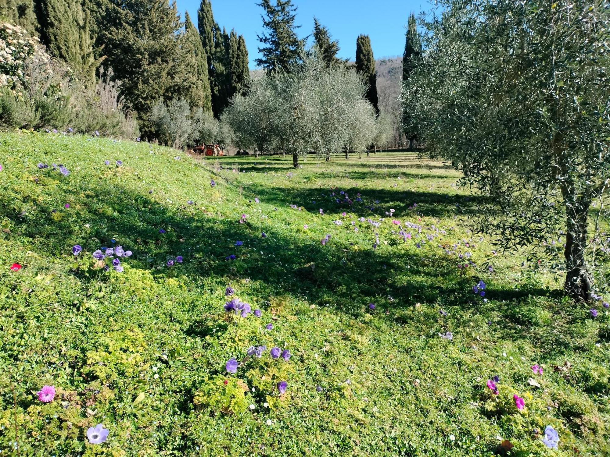 Agriturismo Natura E Salute San Gimignano Kültér fotó