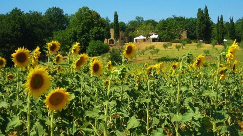Agriturismo Natura E Salute San Gimignano Kültér fotó